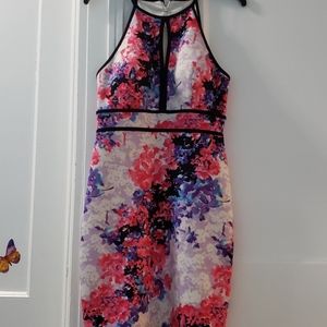 International Concepts Dress